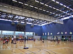 badminton9.jpg